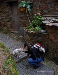 cani Cerdeira aldeias de xisto portogallo