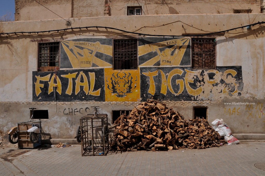 cosa visitare a fès marocco