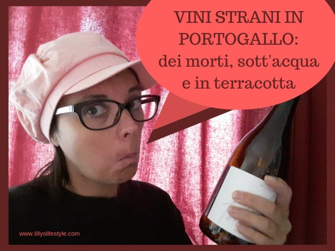 vini portoghesi quali comprare vini portogallo curiosità