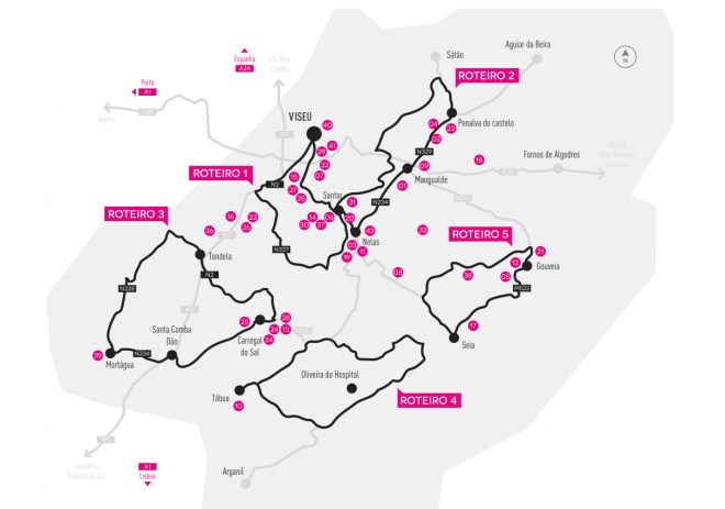 rotta vini portoghesi portogallo