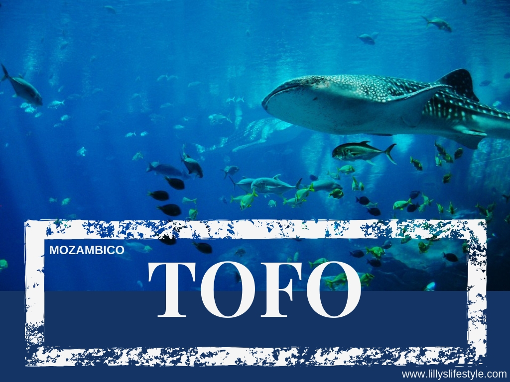 immersione tofo mozambico