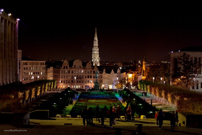 visita bruxelles di notte