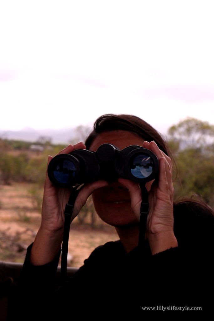 organizzare safari parco kruger