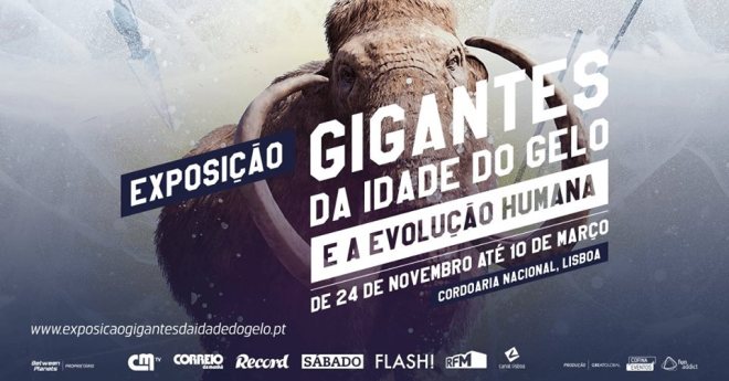 esposizioni lisbona portogallo