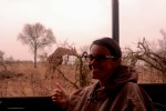 giraffa safari parco kruger sudafrica