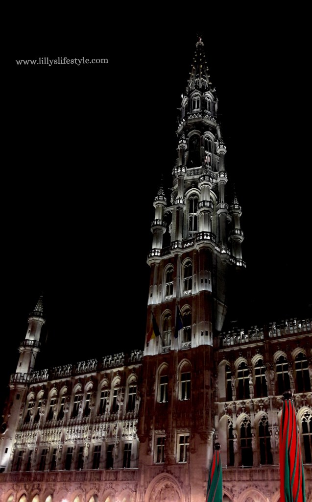 visita bruxelles di notte