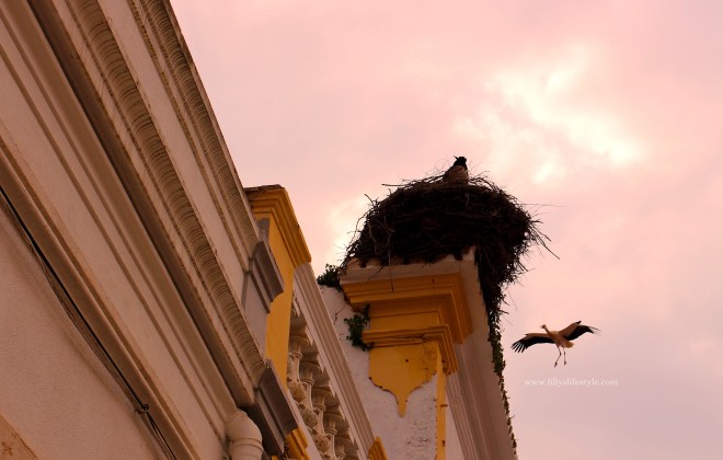 cosa visitare in algarve portogallo cosa visitare silves portogallo