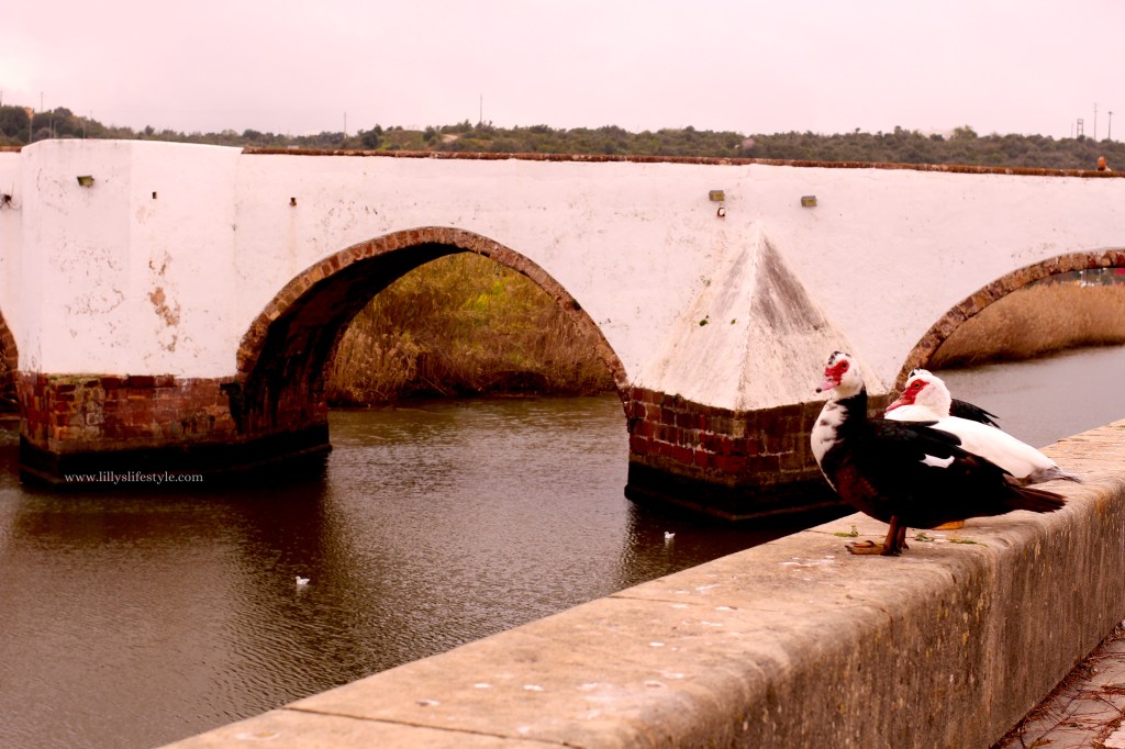 cosa visitare silves portogallo