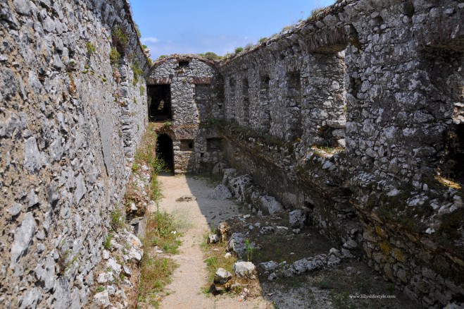 domenicani portogallo