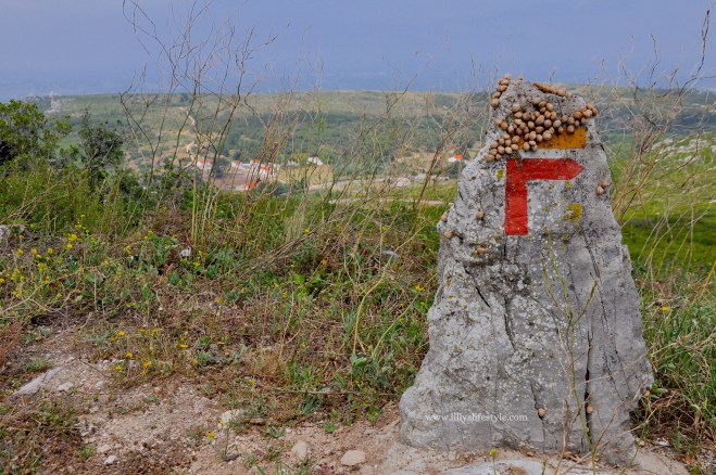 sentieri trekking montejunto