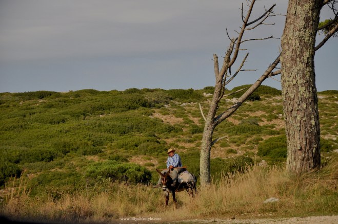 visitare serra montento portogallo