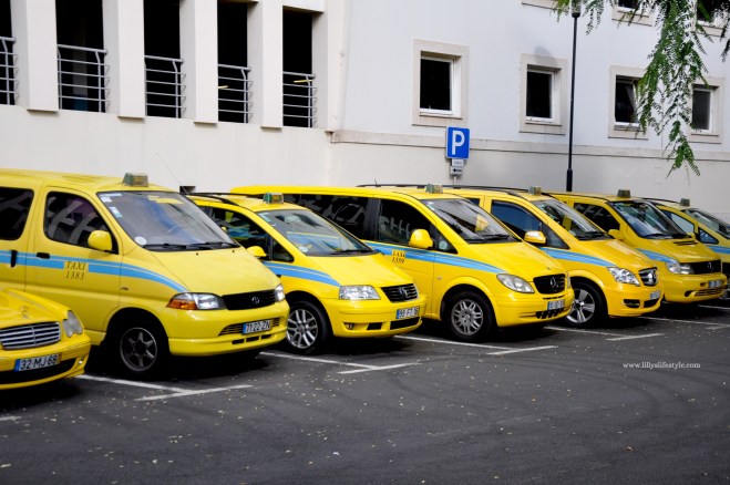 come muoversi a madeira i trasporti