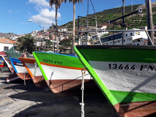visitare madeira