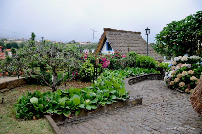 cosa visitare a madeira