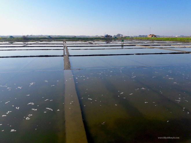 famoso sale portogallo