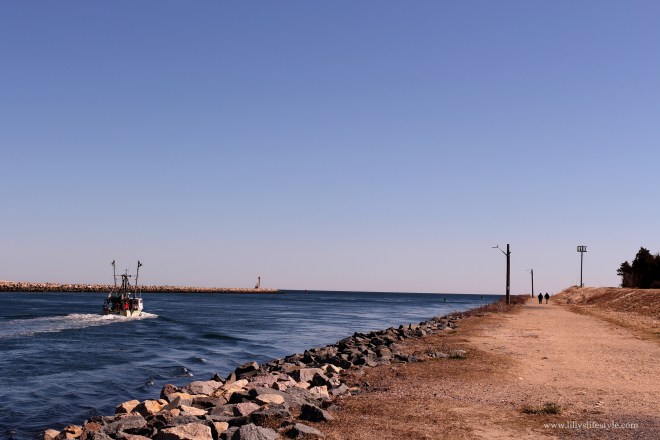 cosa visitare a chatham cape cod USA