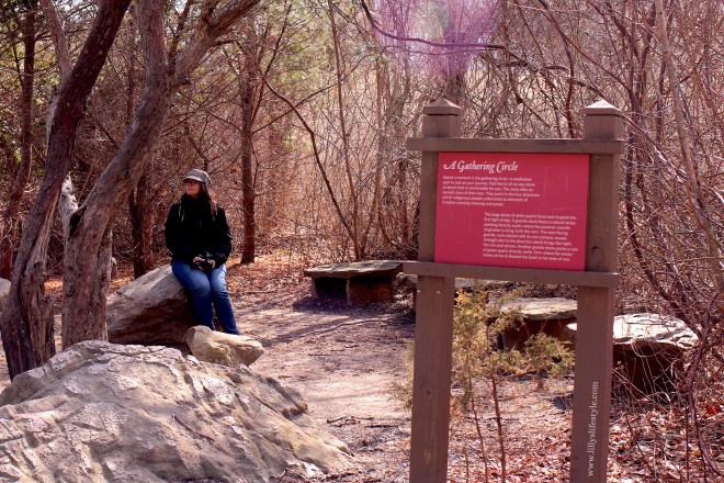 come nasce festa del ringraziamento