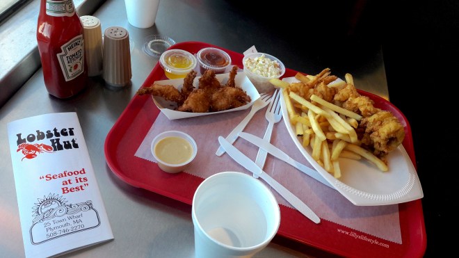 plymouth USA dove e cosa mangiare