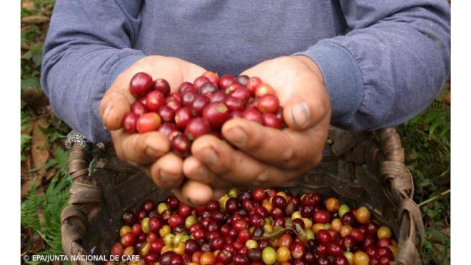 unico caffè prodotto in europa