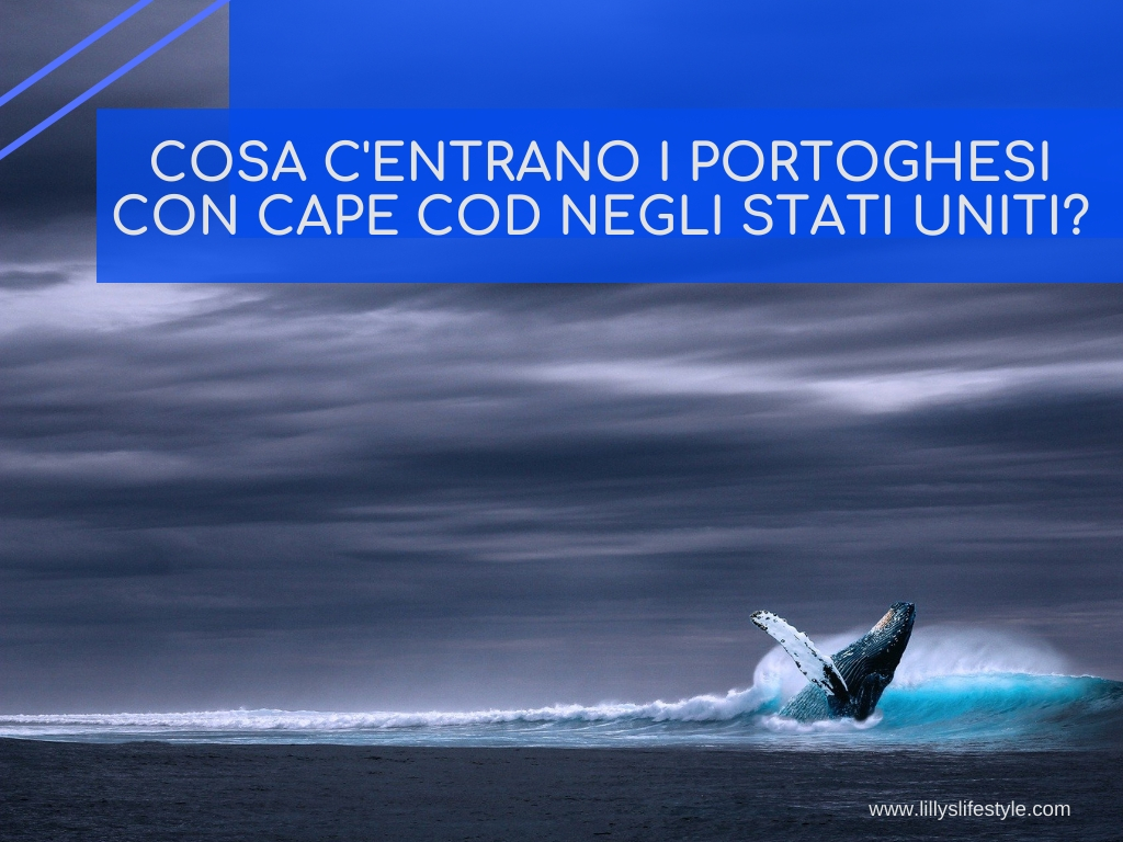 portoghesi in america le balene