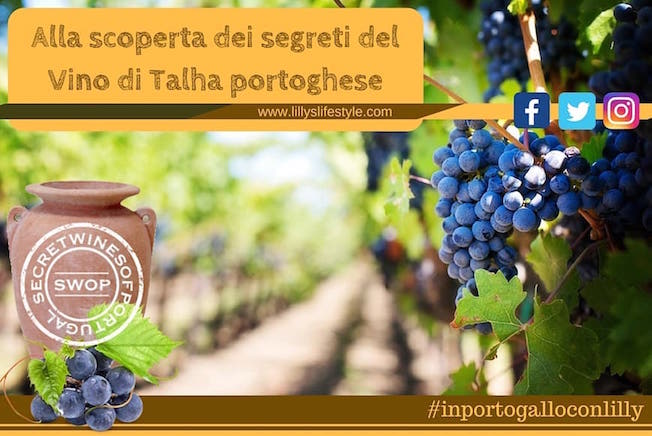 enoturismo alentejo vini portogallo