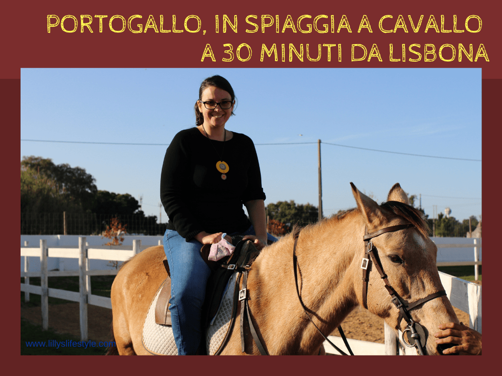 maneggio cavalli vicino lisbona