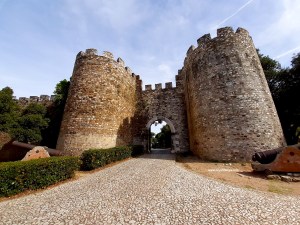 cosa visitare a vila viçosa