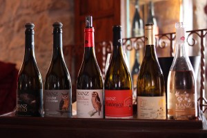 prova di vini alla Manzwine