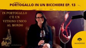 portogallo in un bicchiere manzwine