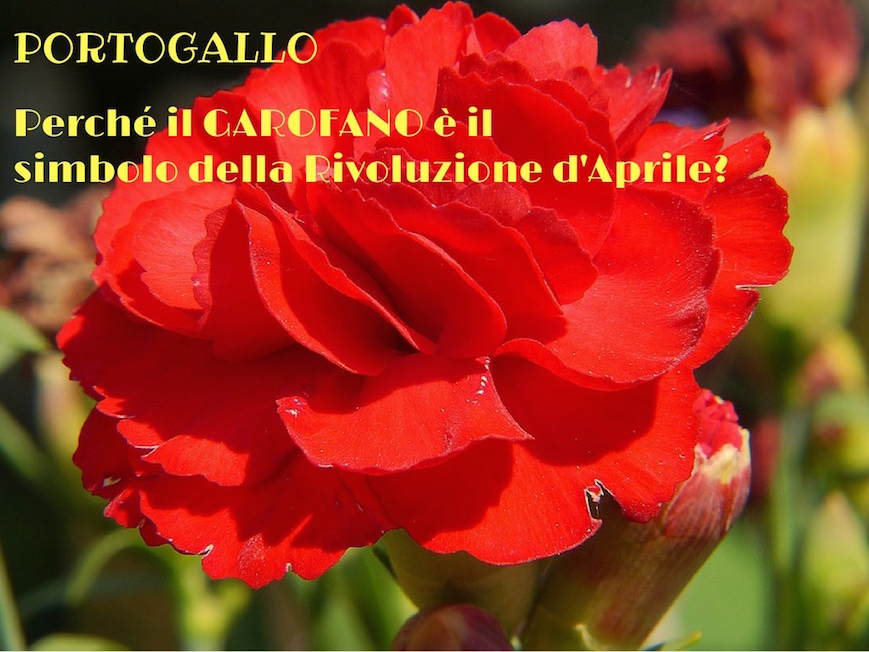 rivoluzione dei garofani portogallo