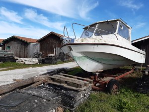 arcachon ostriche francia