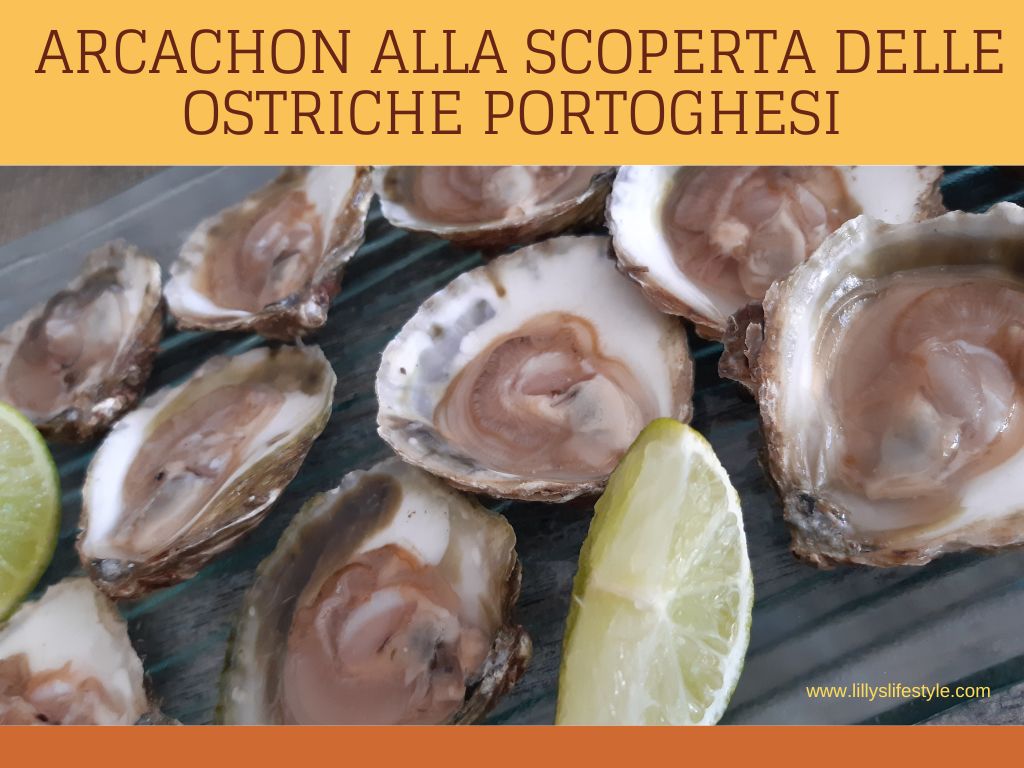 ostriche portoghesi origine in francia
