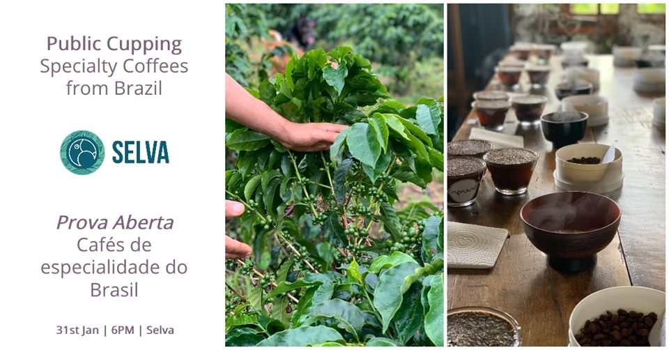 caffè lisbona portogallo