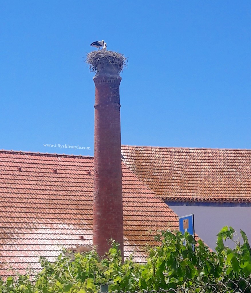 cosa visitare in portogallo