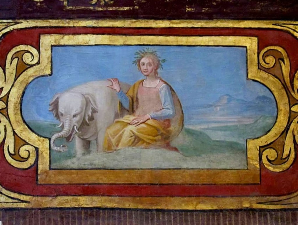 elefante annone in vaticano