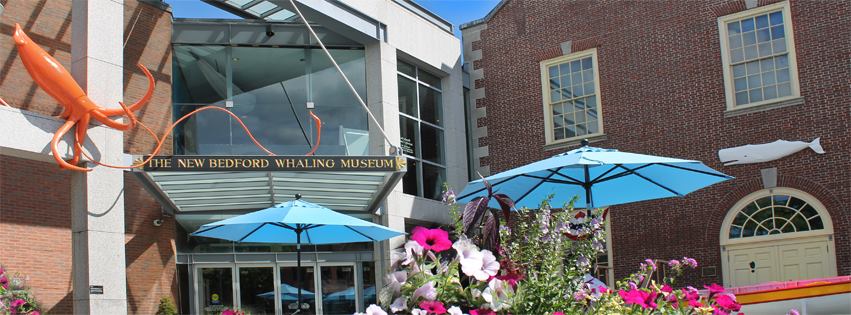 museo balene New Bedford Whaling Museum