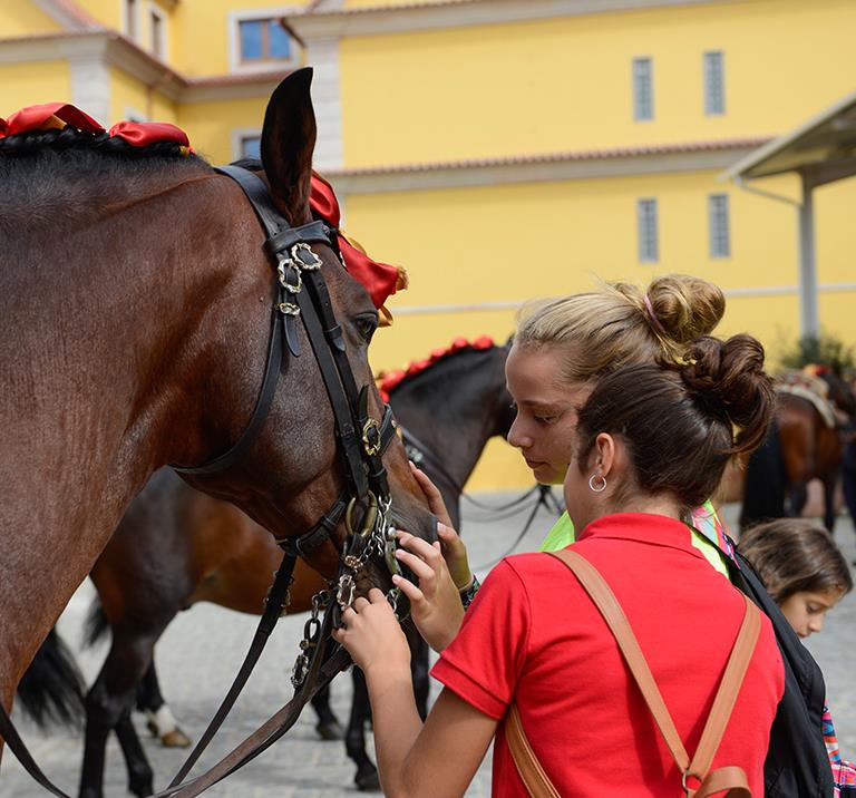 scuola equitazione lisbona