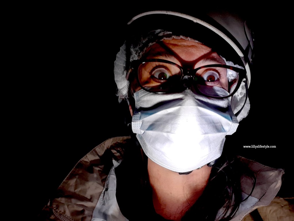 gruta das torres isola pico azzorre