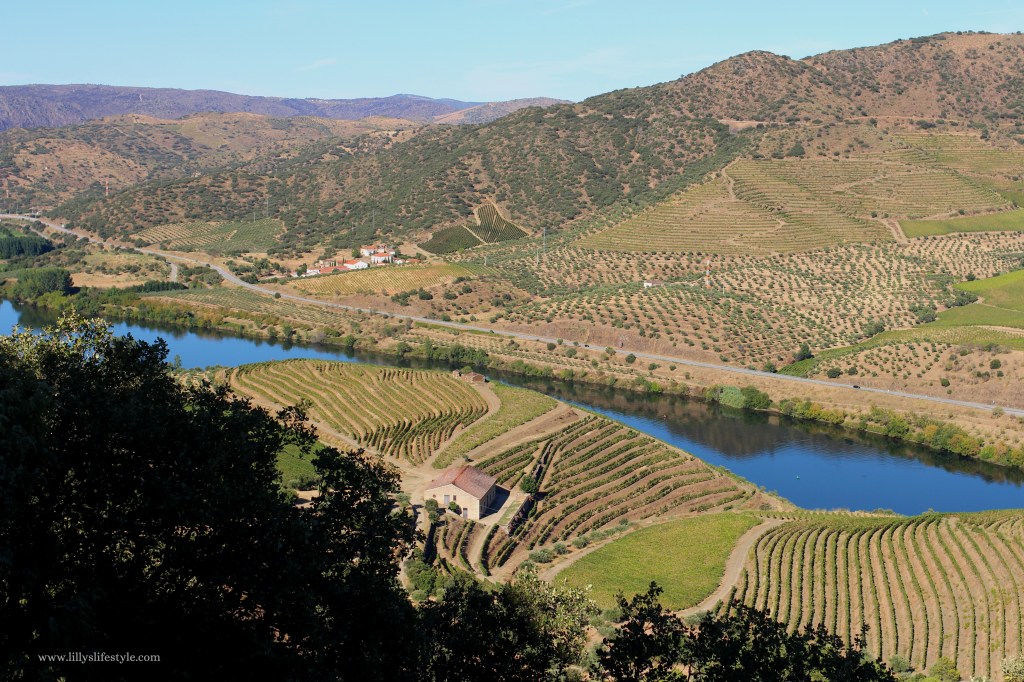 visita cantina vale meão douro portogallo