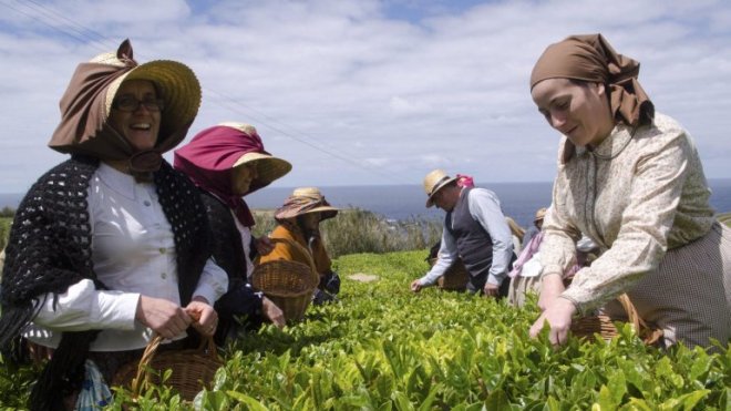 birra artigianale portogallo