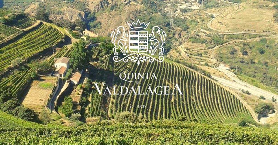 vini douro portogallo