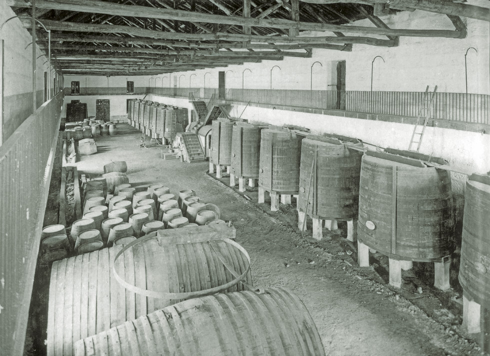 visita cantina vini vale de meão