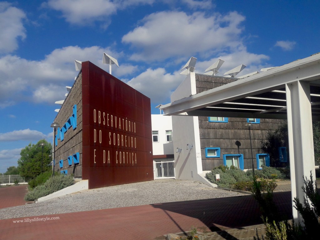 cosa visitare coruche