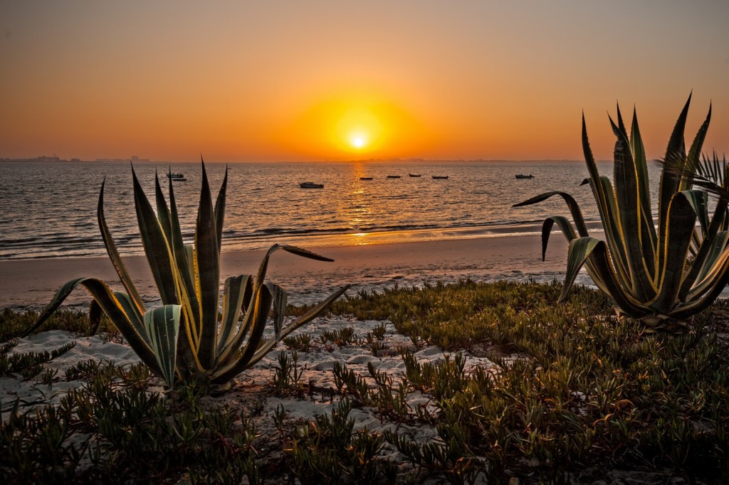 spiaggia fluviale gaio-rosario portogallo