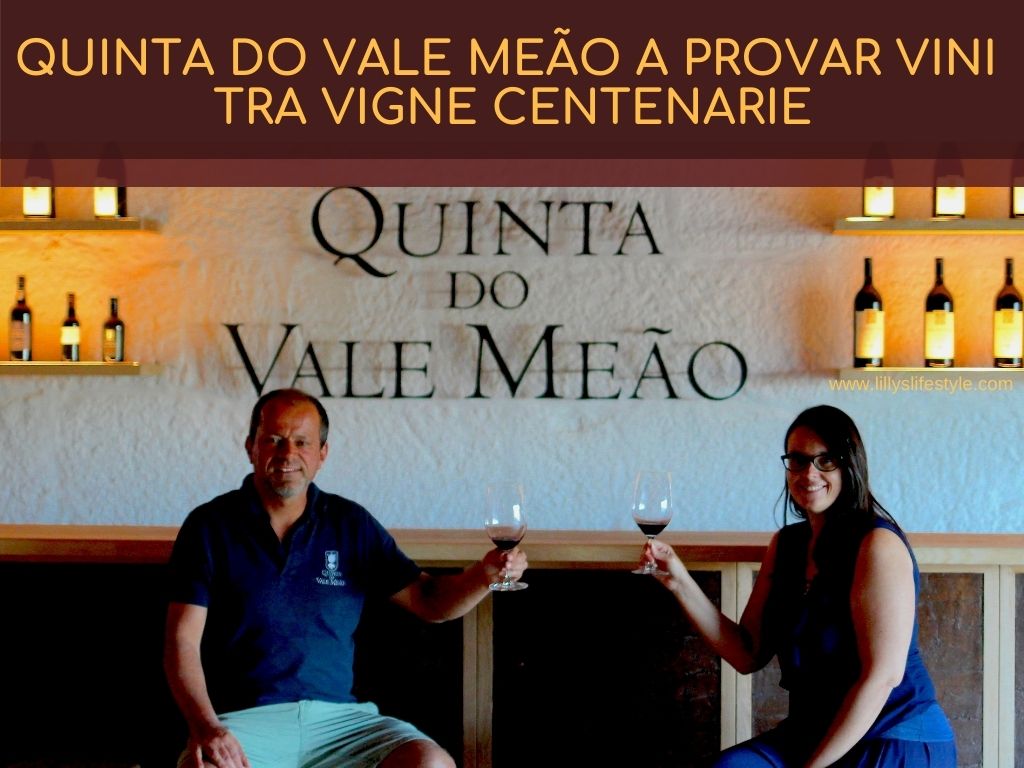 vini Quinta do Vale Meão