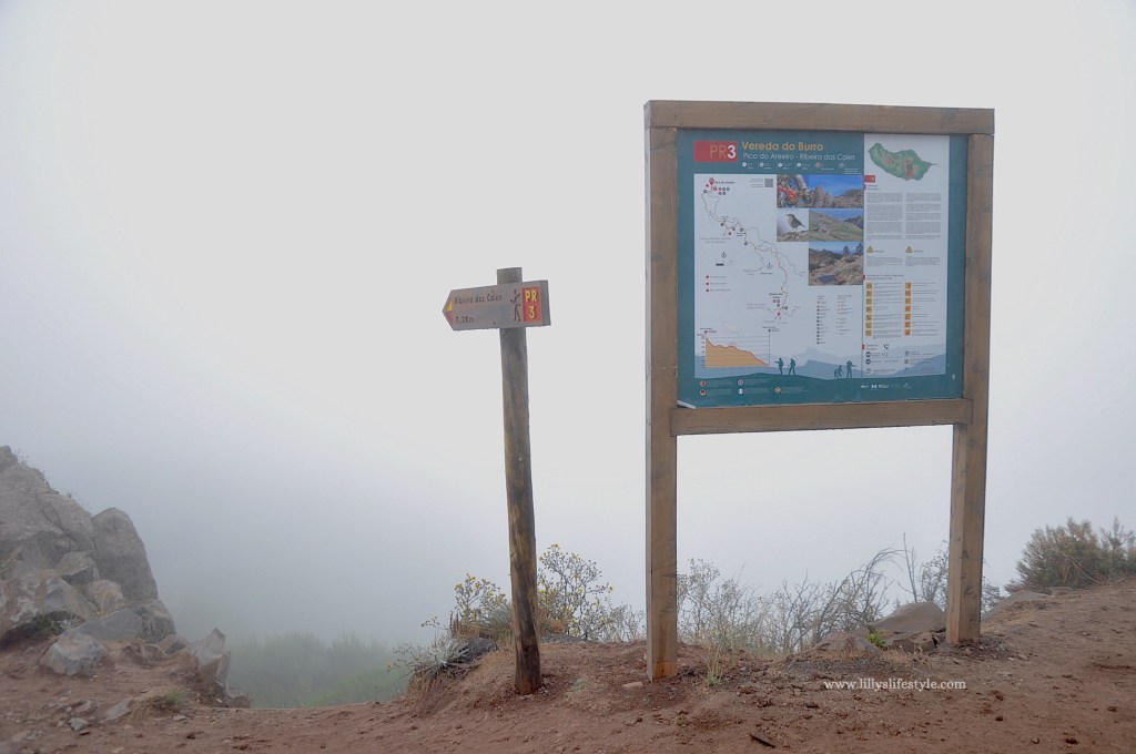 cosa visitare madeira