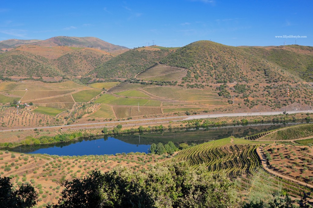 quinta do vale meão