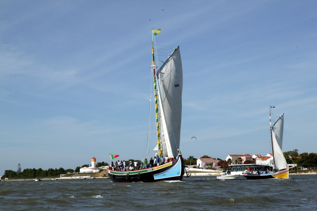 barche tipiche moita portogallo