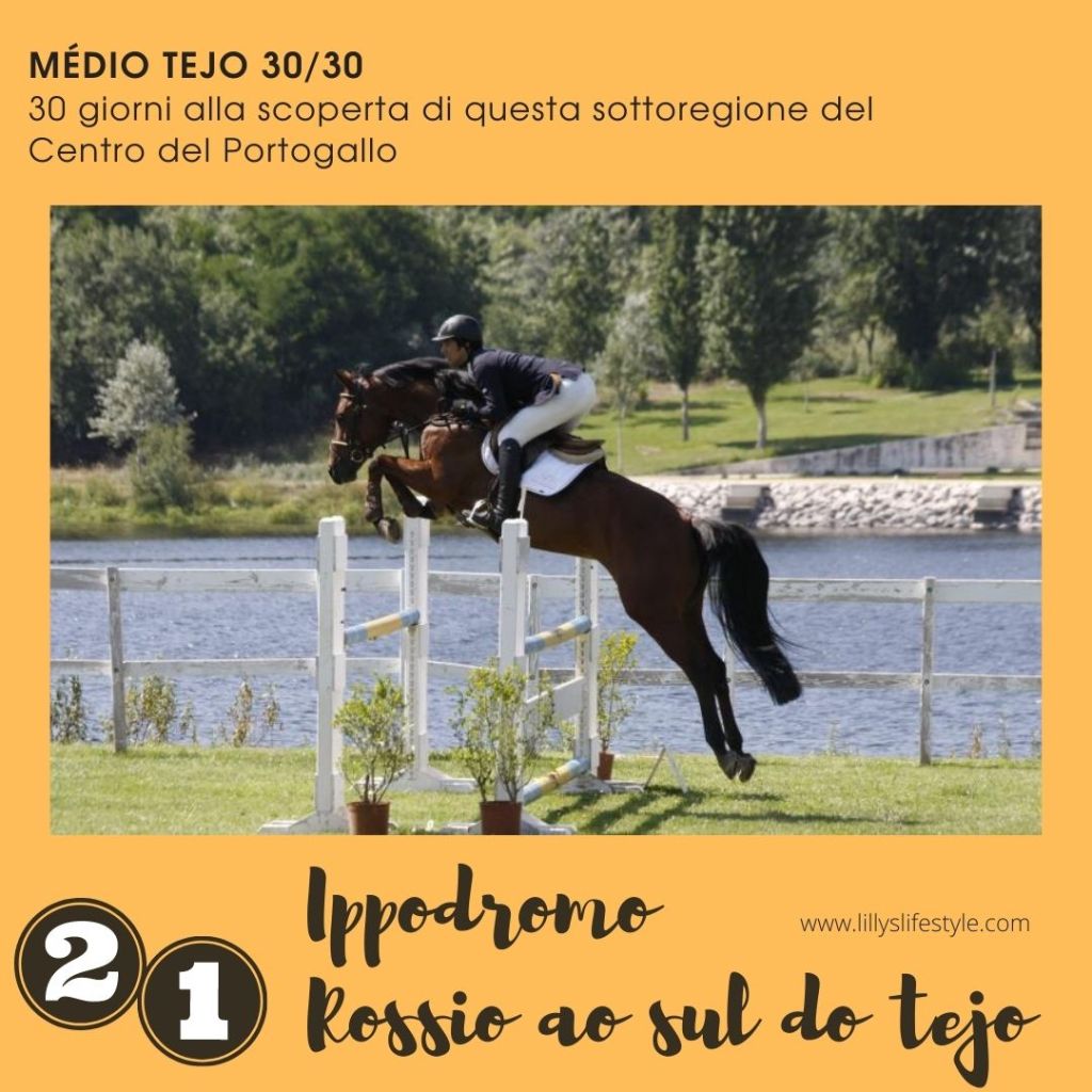 cavalli ribatejo gare ippiche