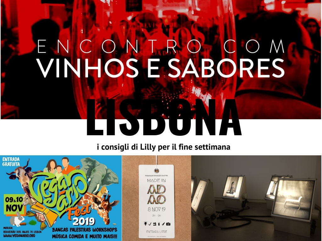 eventi lisbona novembre 2019